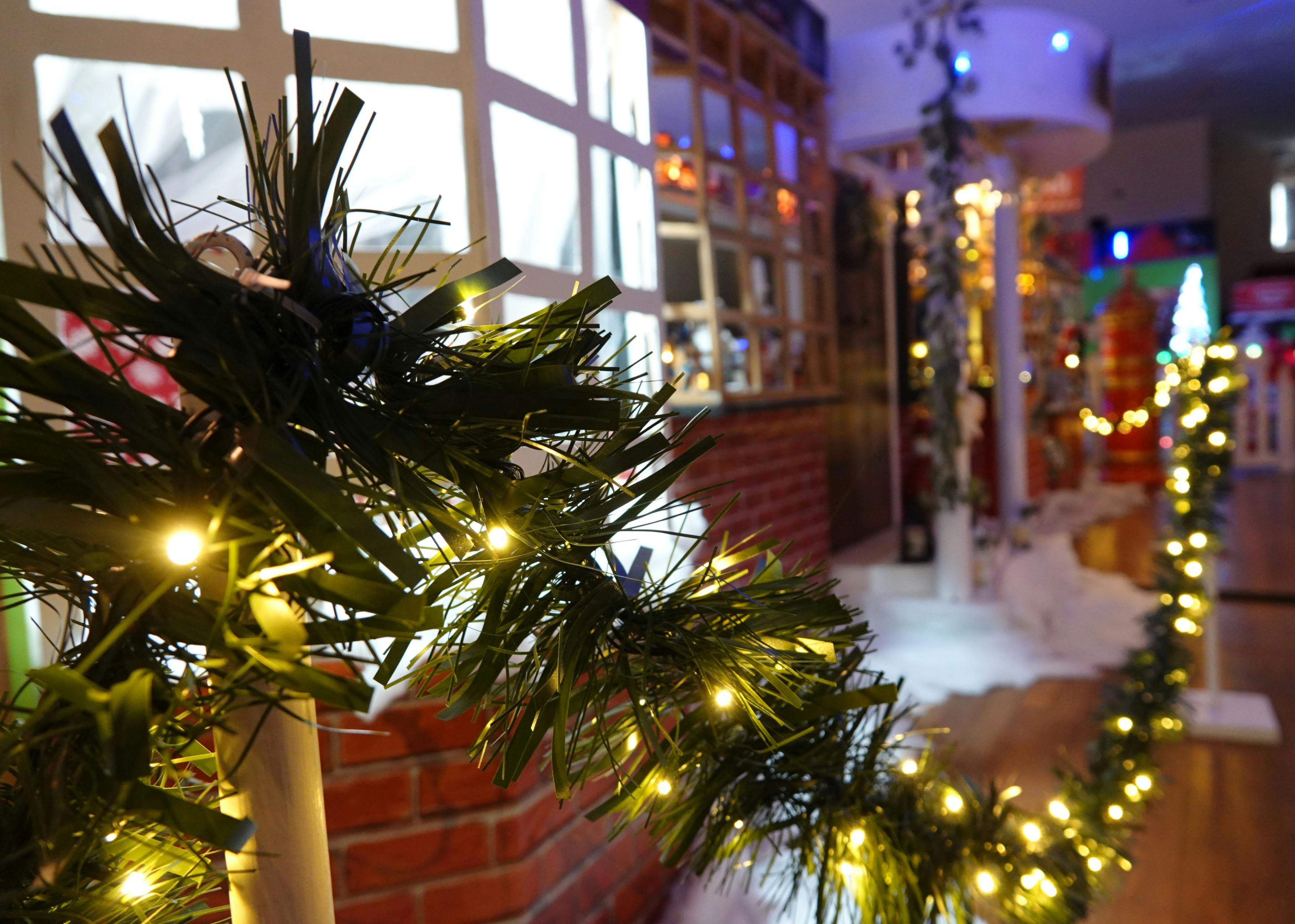 PB Christmas Festival