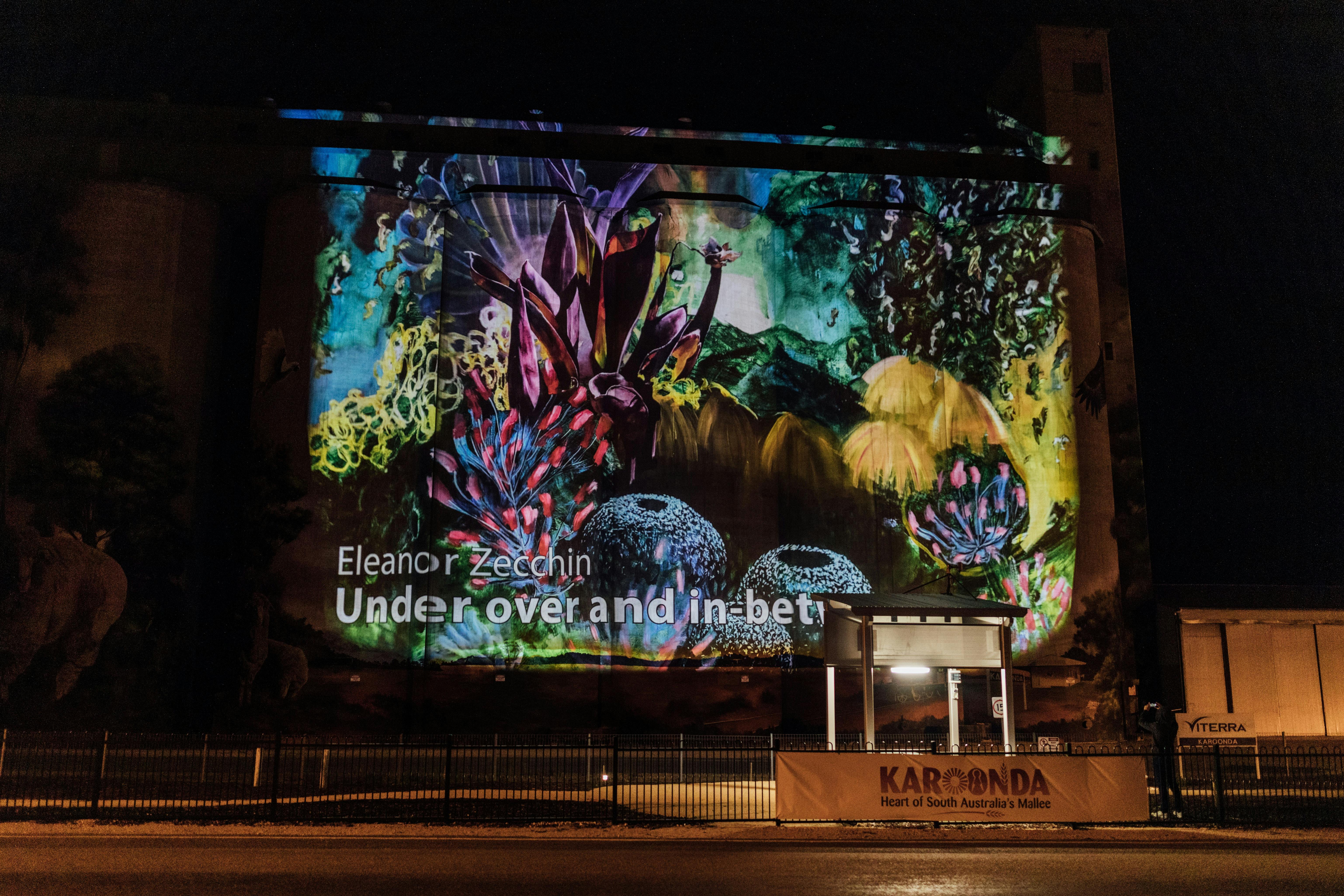 Karoonda Silo Art Projection