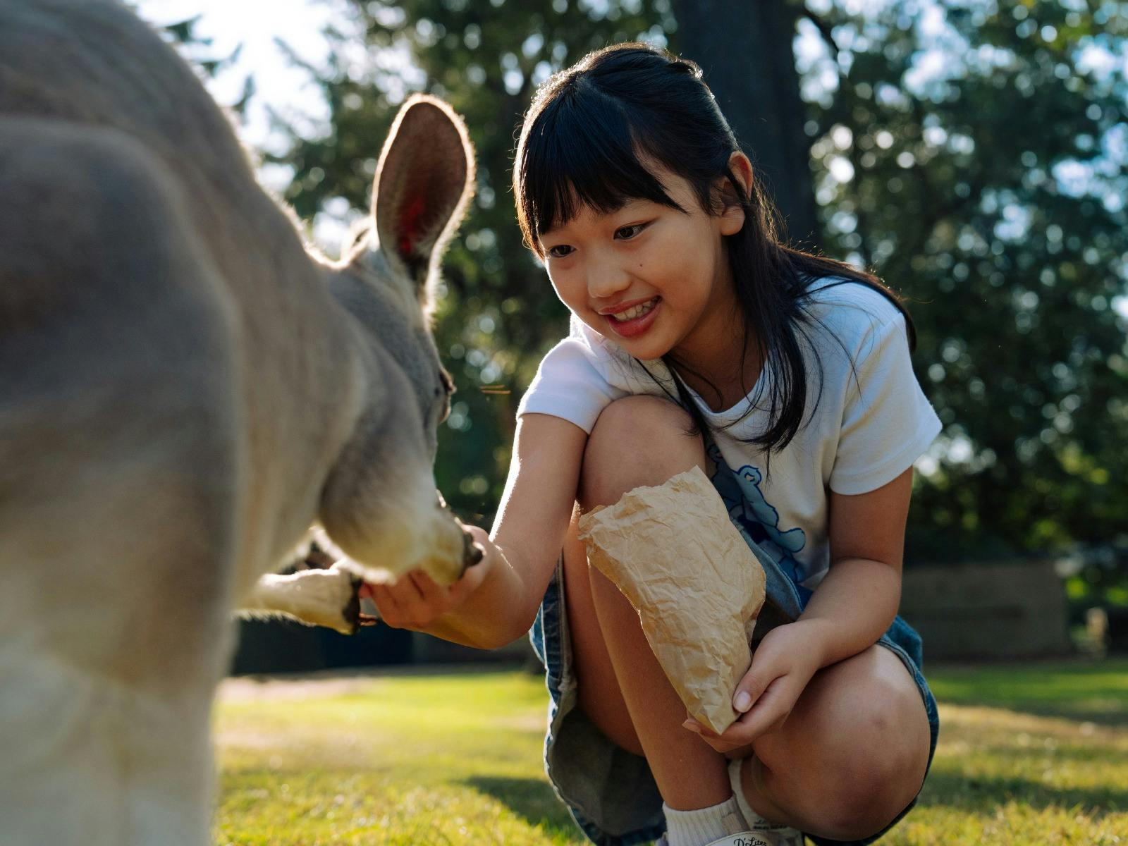 Child hand feeding kangaroo