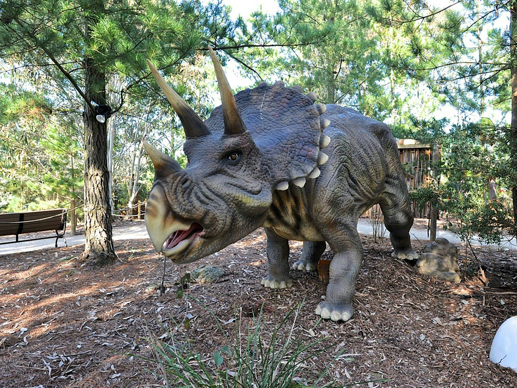 Dinosaur World