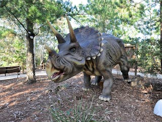 Dinosaur World