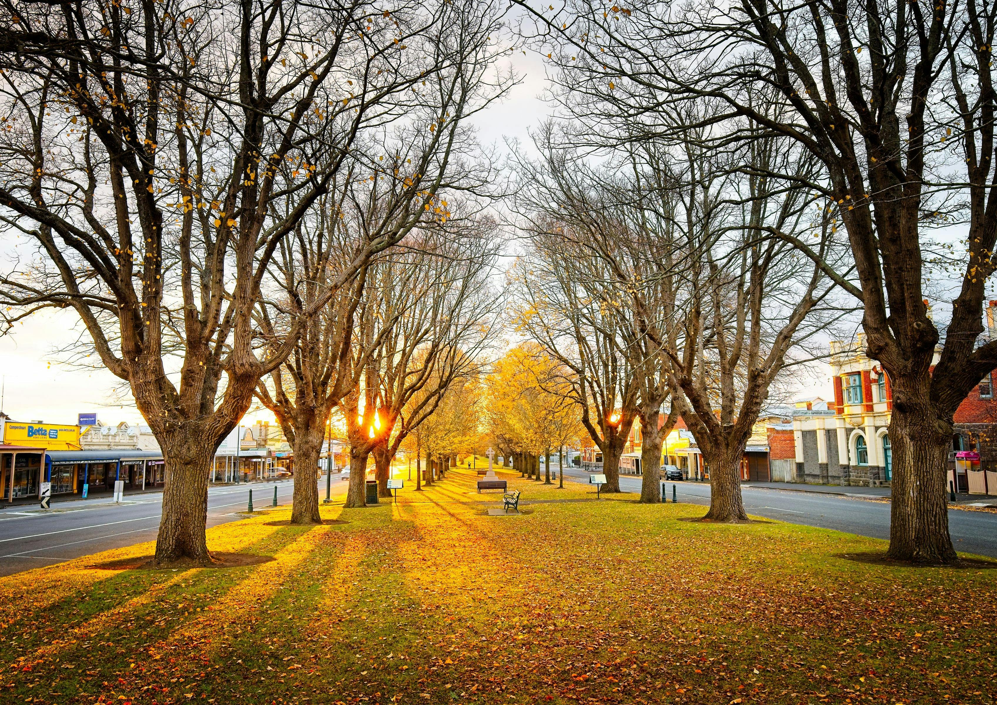 Manifold Street, Camperdown