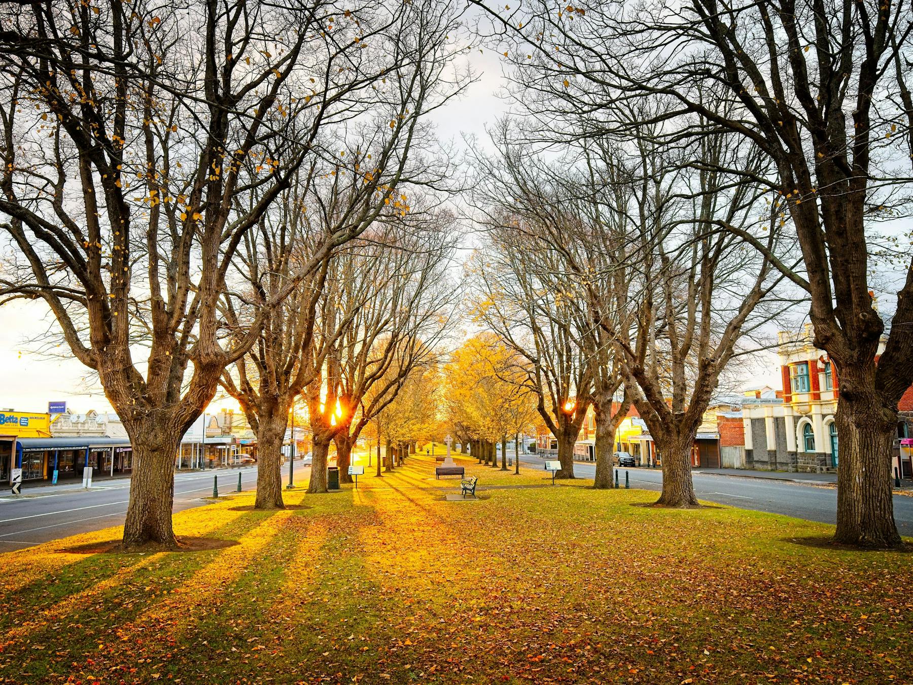Manifold Street, Camperdown
