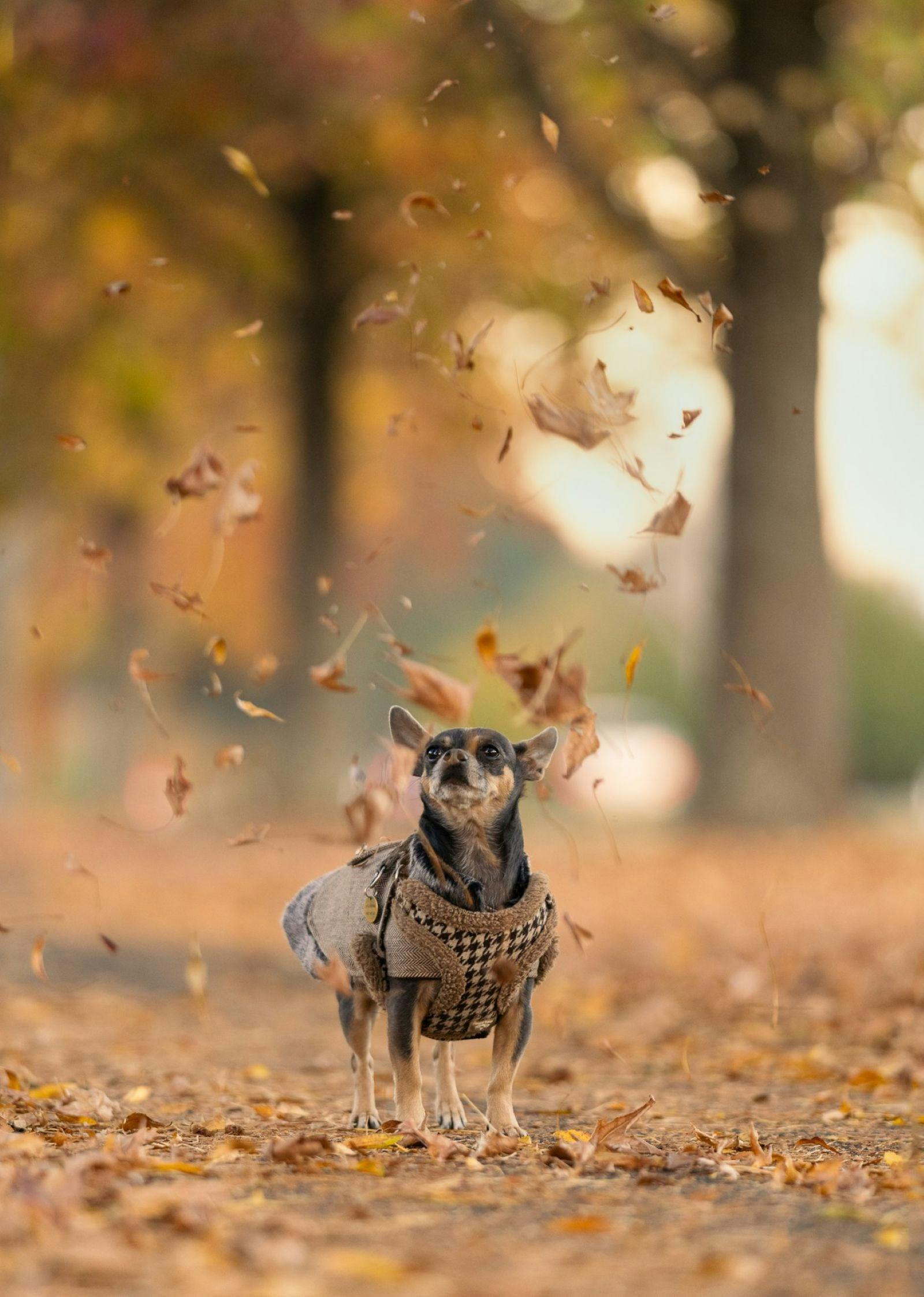 Keza Lancaster Photography