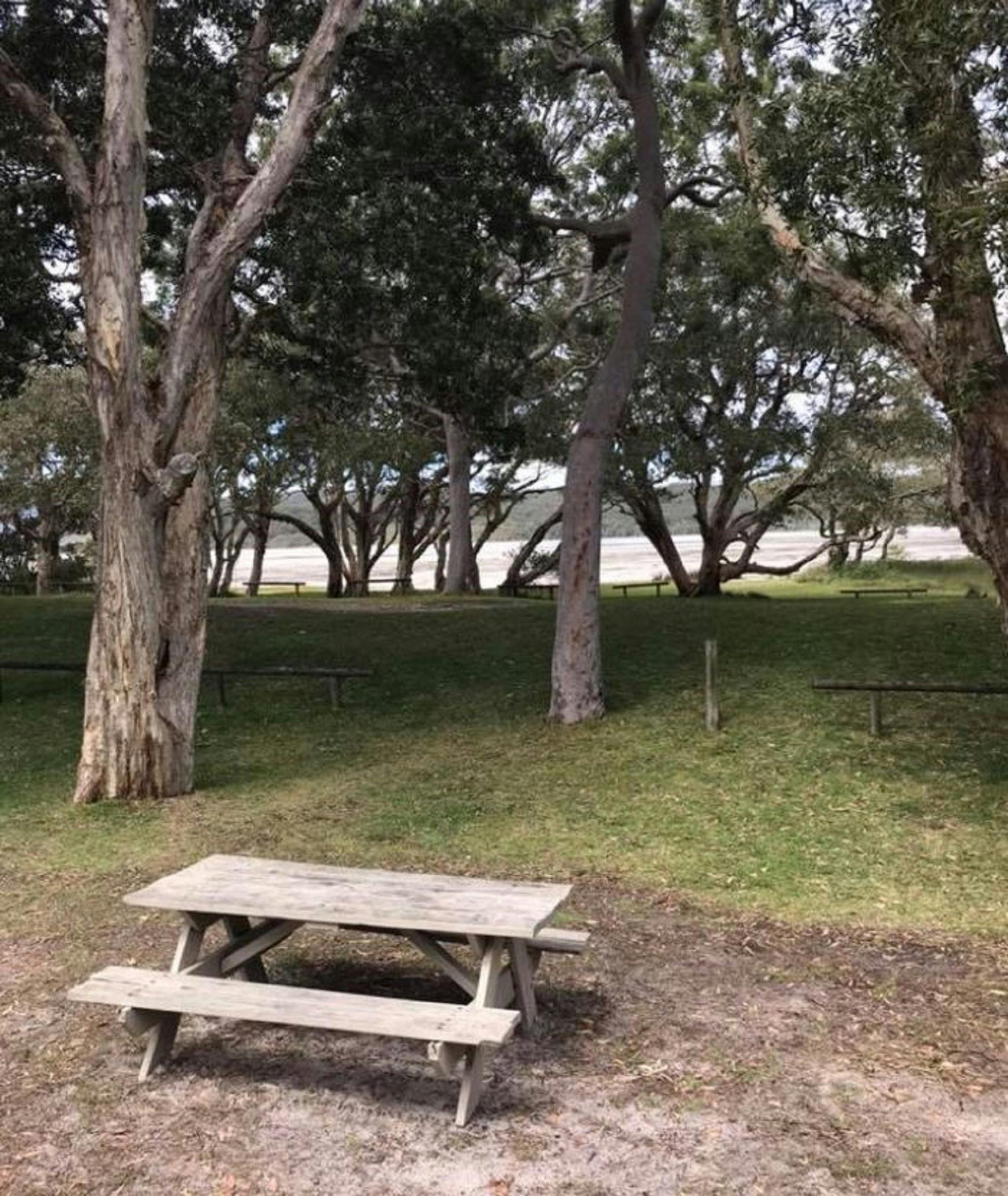 주간 사용 지역