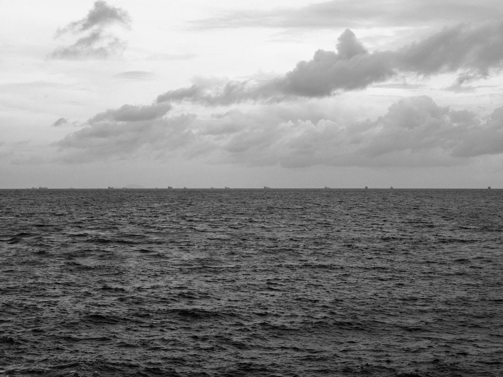 Image for Catherine Rogers: Evidence and The Visible