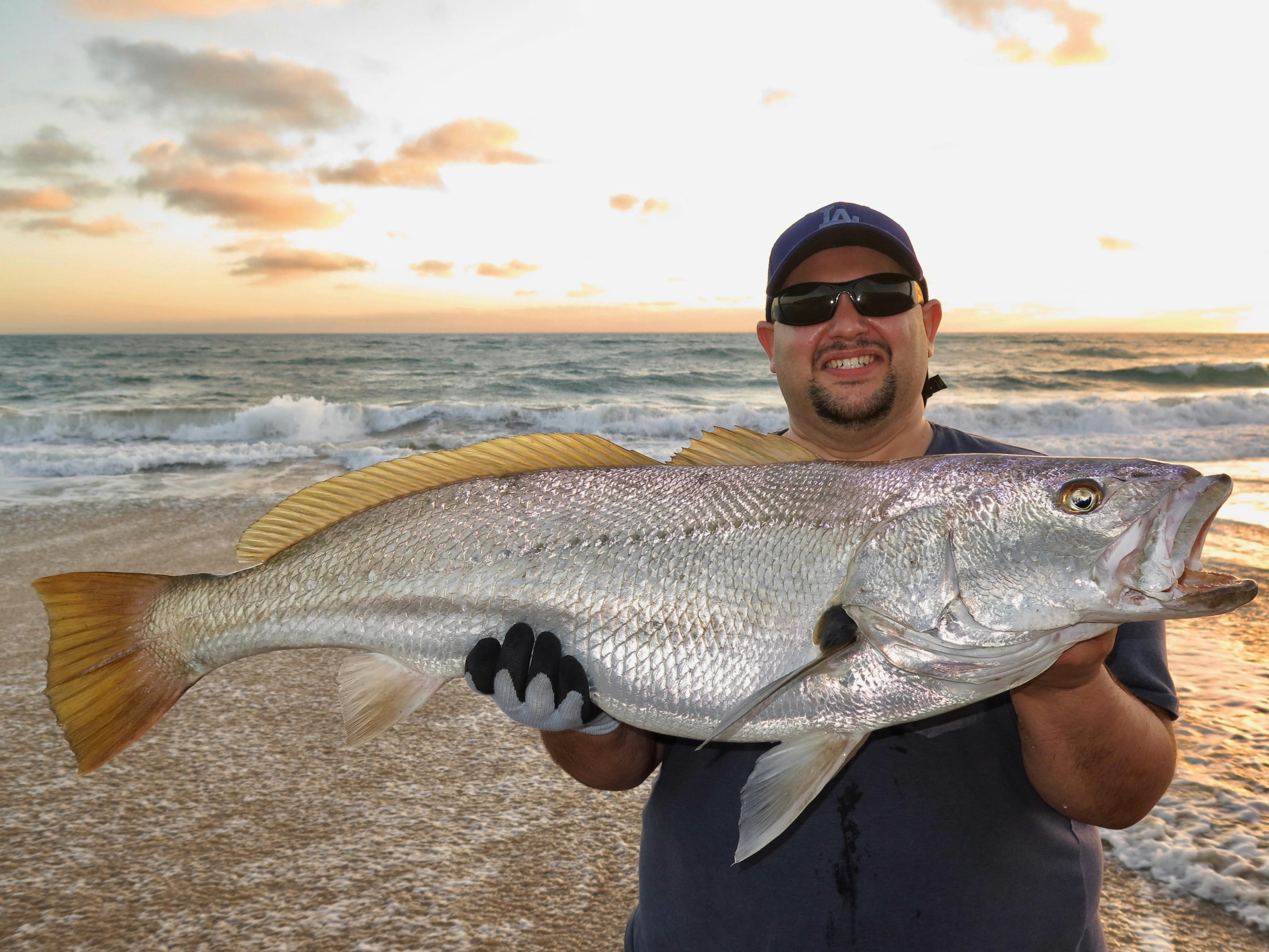 caught on cast in the mid west of WA ana amazing mulloway specimen