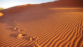 Sand dunes outside the town of Windorah