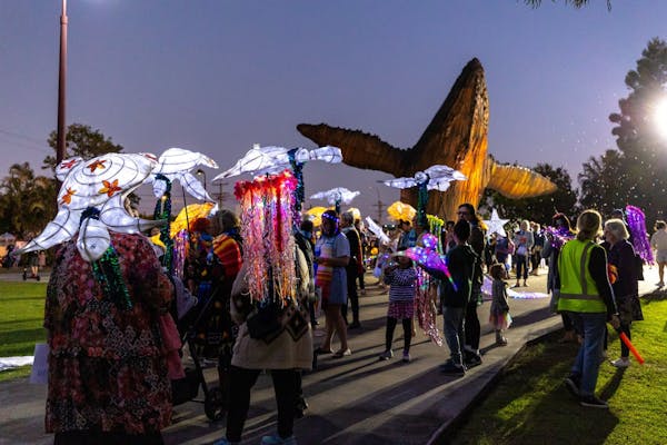 Hervey Bay Whale Festival - City and Sea