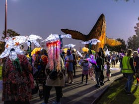 Hervey Bay Whale Festival