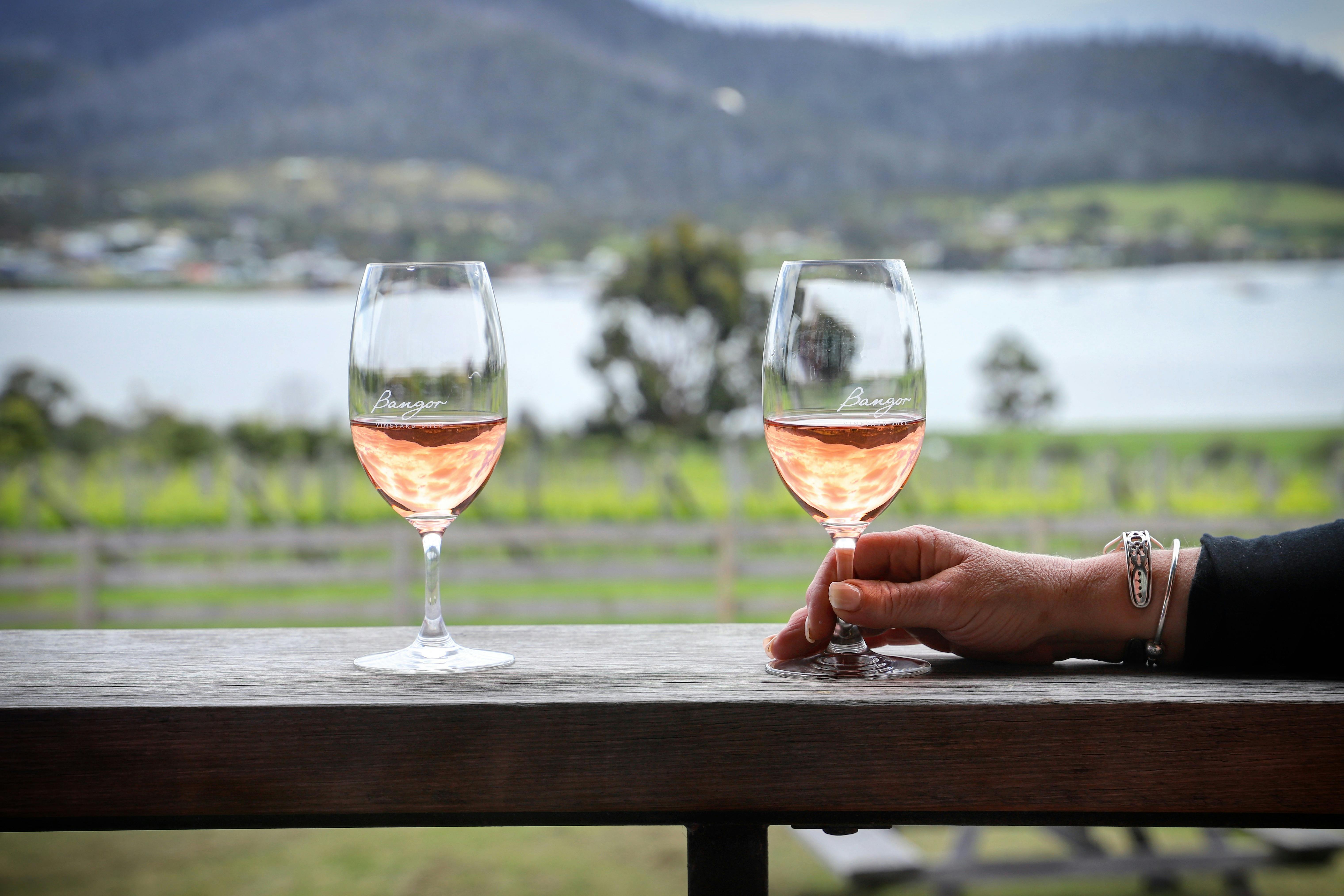 Bangor wine tasting daily.