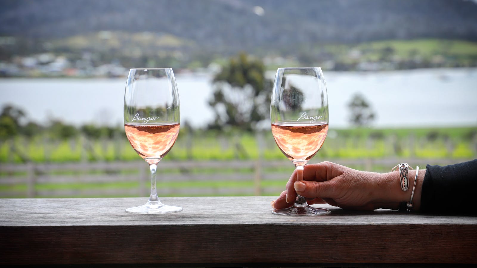 Bangor Vineyard Shed - premium Tasmanian wine with a view.