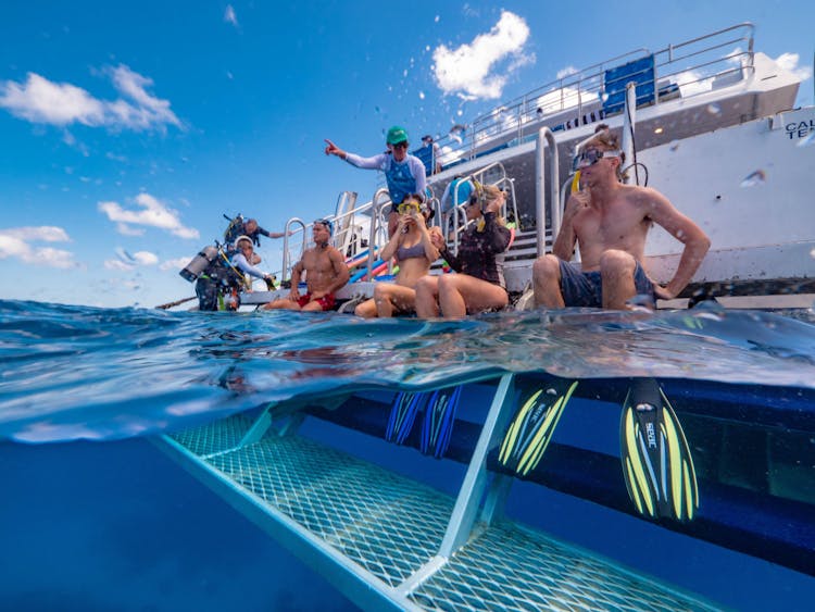 Cairns And Great Barrier Reef Calypso Reef Cruises