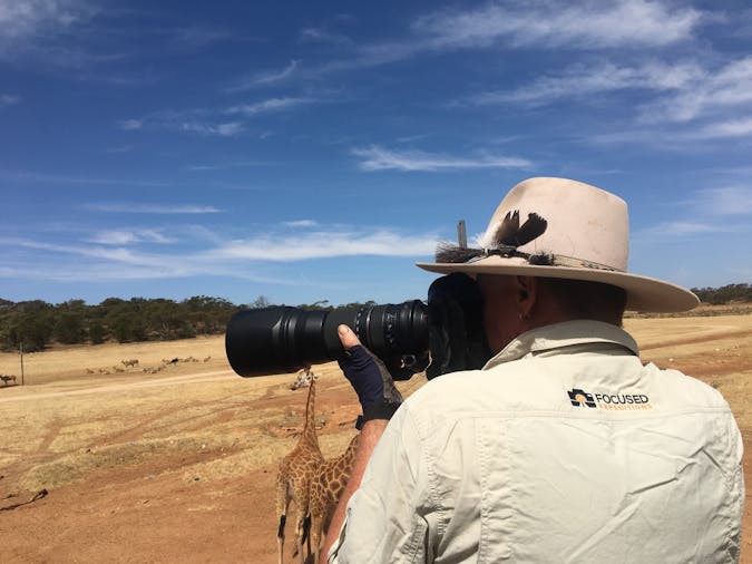 Wildlife Photographic Safari