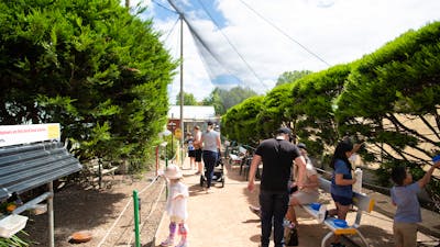 Customers of all ages feeding and observing our birds