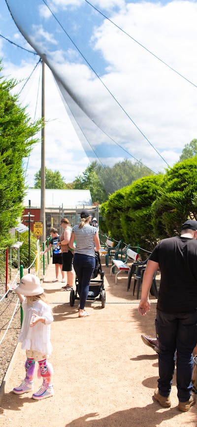 Customers of all ages feeding and observing our birds