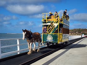 Discover Adelaide - Fleurieu Peninsula