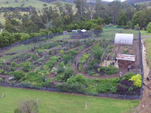 Edible Forest Yarra Valley