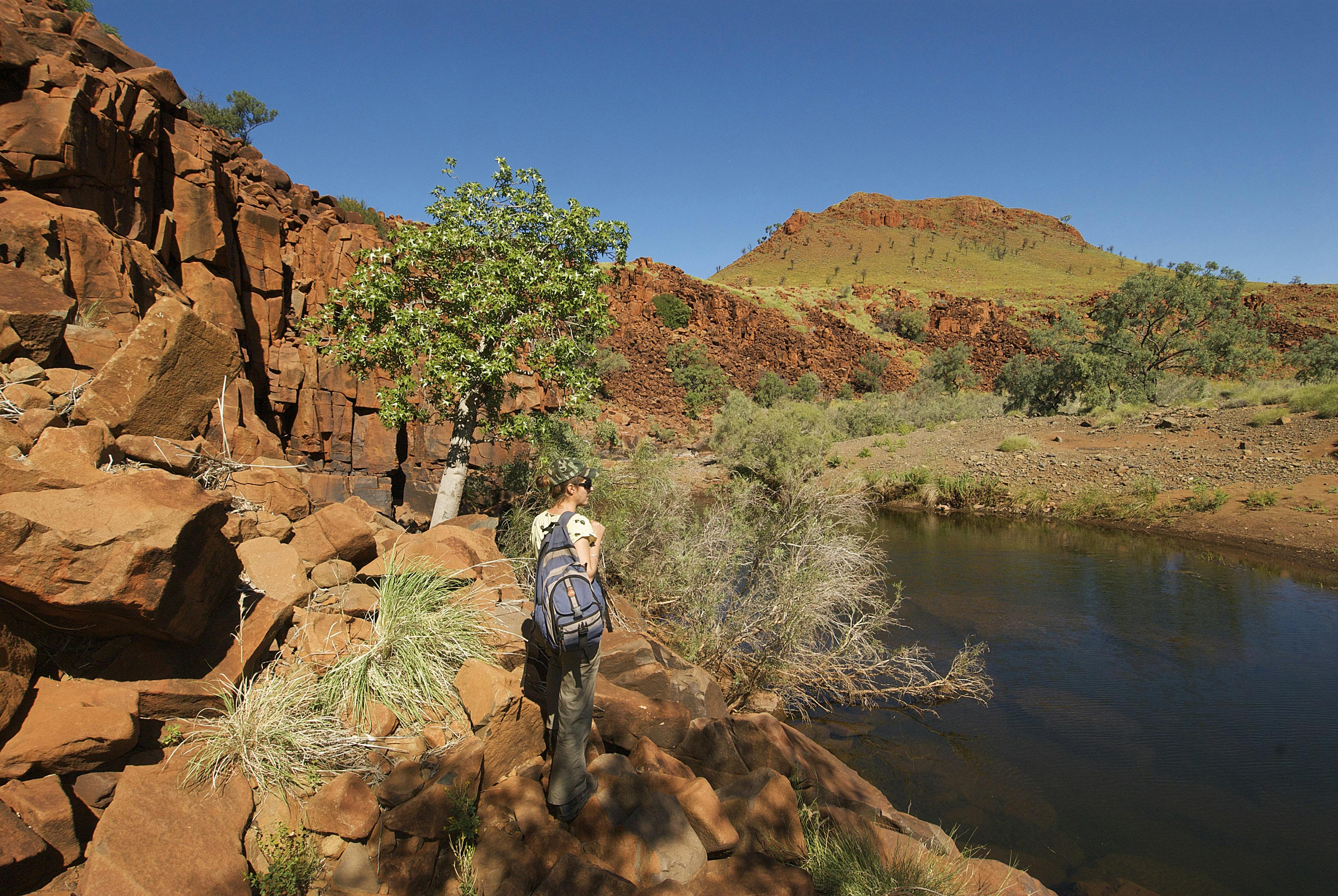 Rail Access Roads - Pilbara