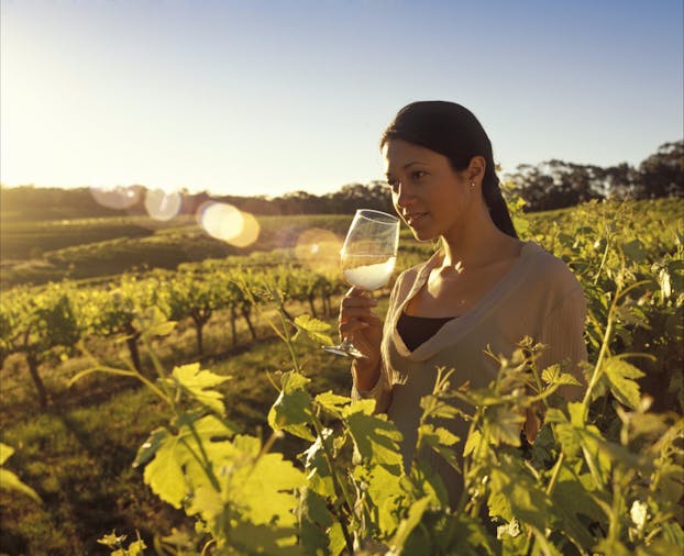SelfDrive Package Six Day Barossa and Kangaroo Island