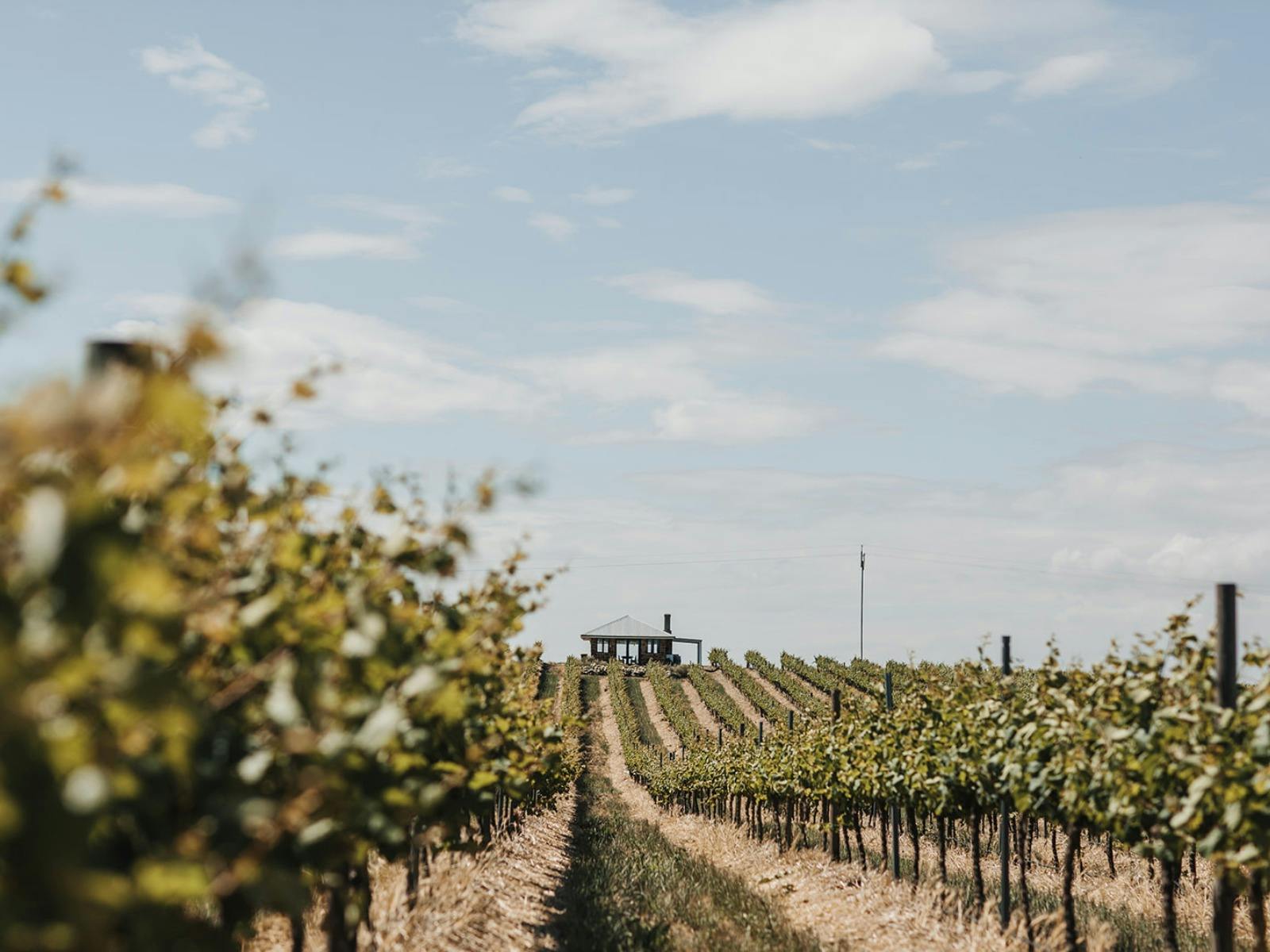 The Pruner's Hut Private Lunch Experience at Pikes Wines