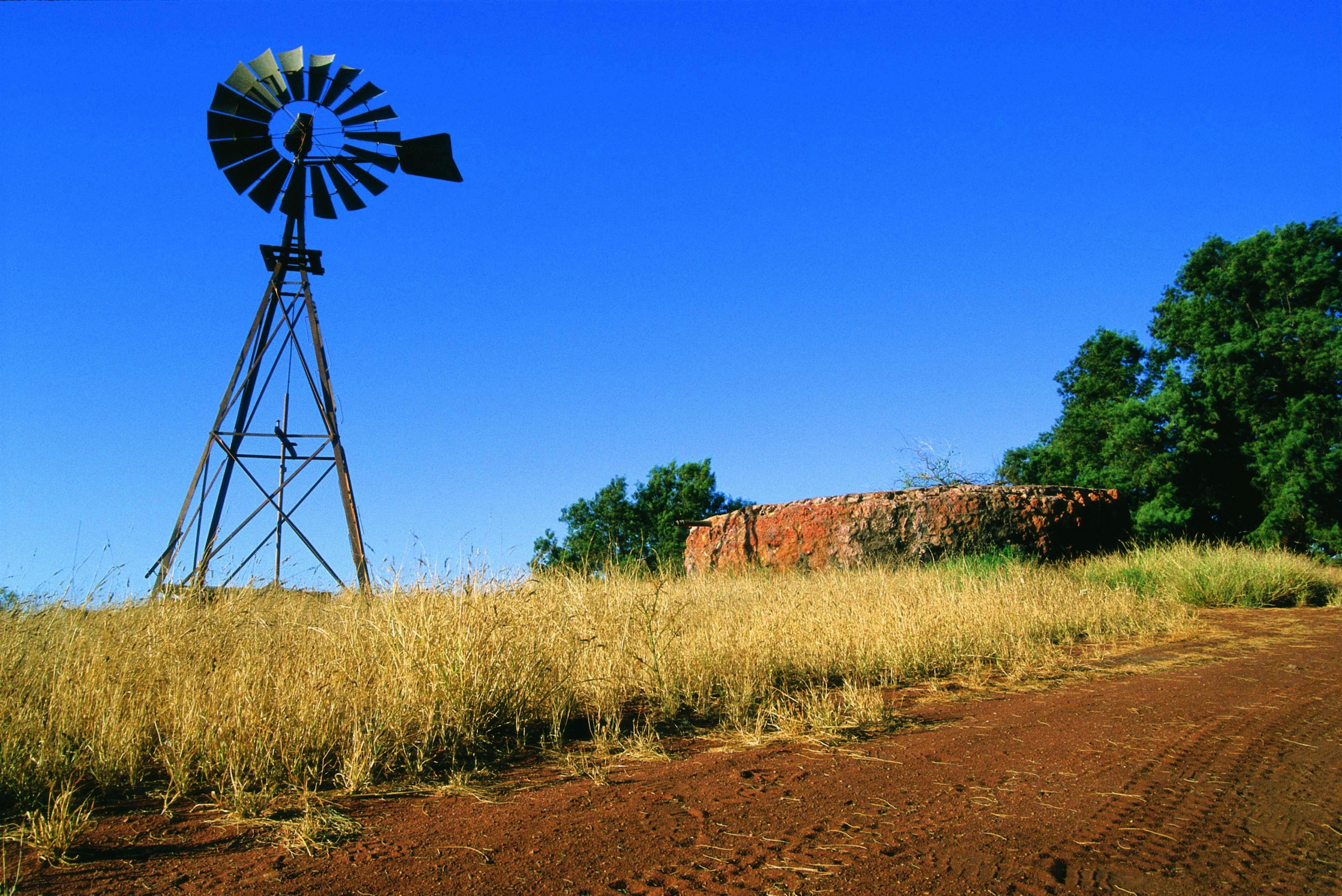 Giralia near Exmouth, Western Australia