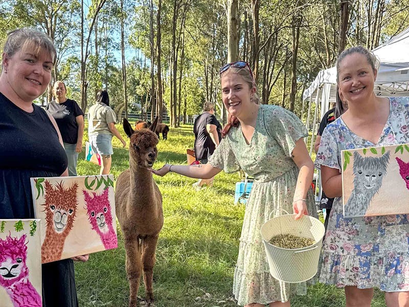 Image for Paint with Alpacas