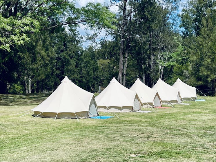 Glamping tents for events