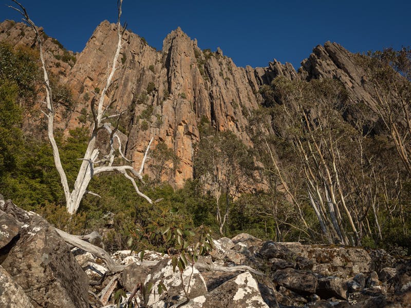 Looking up at the organ pipes, a steep cliff face on Mount Wellington
