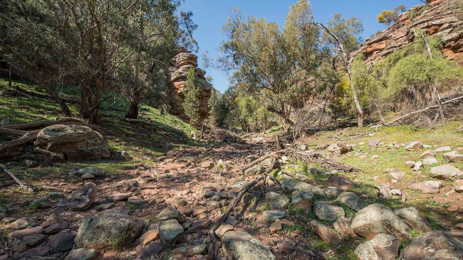 Jacks Creek walking track