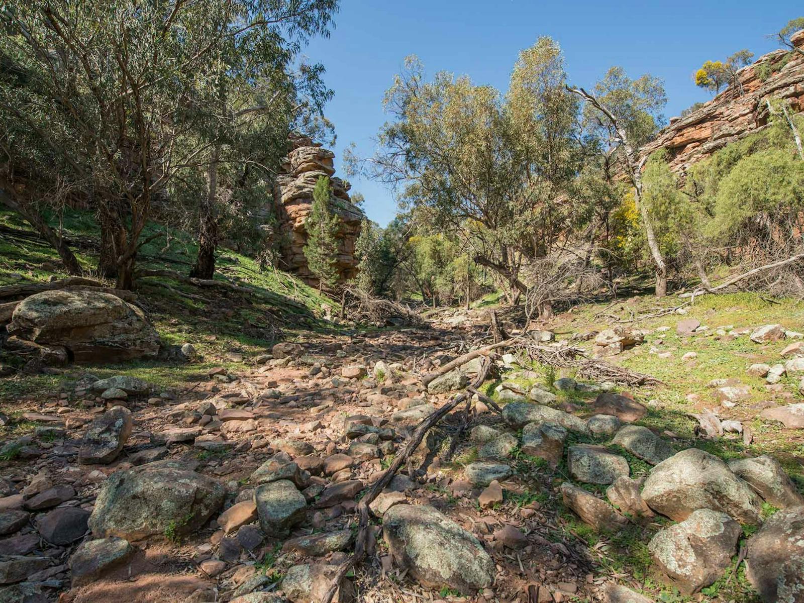 Jacks Creek, Cocoparra National Park. Photo: John Spencer