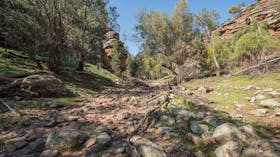 Jacks Creek walking track