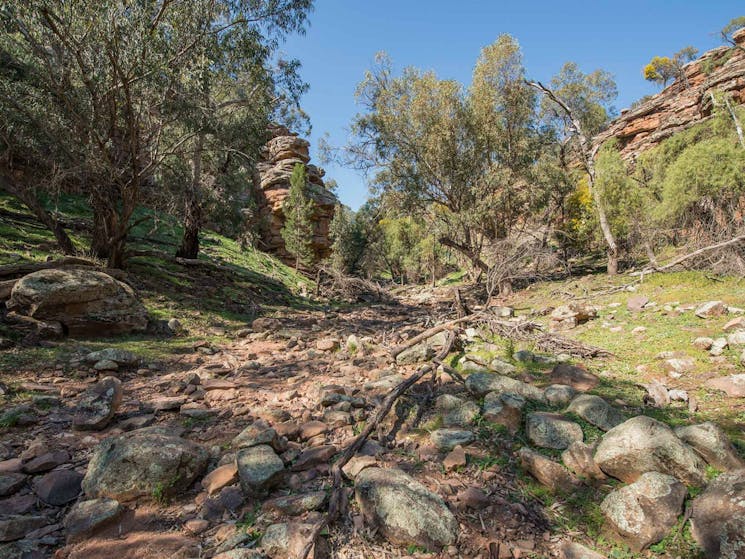 Jacks Creek, Cocoparra National Park. Photo: John Spencer