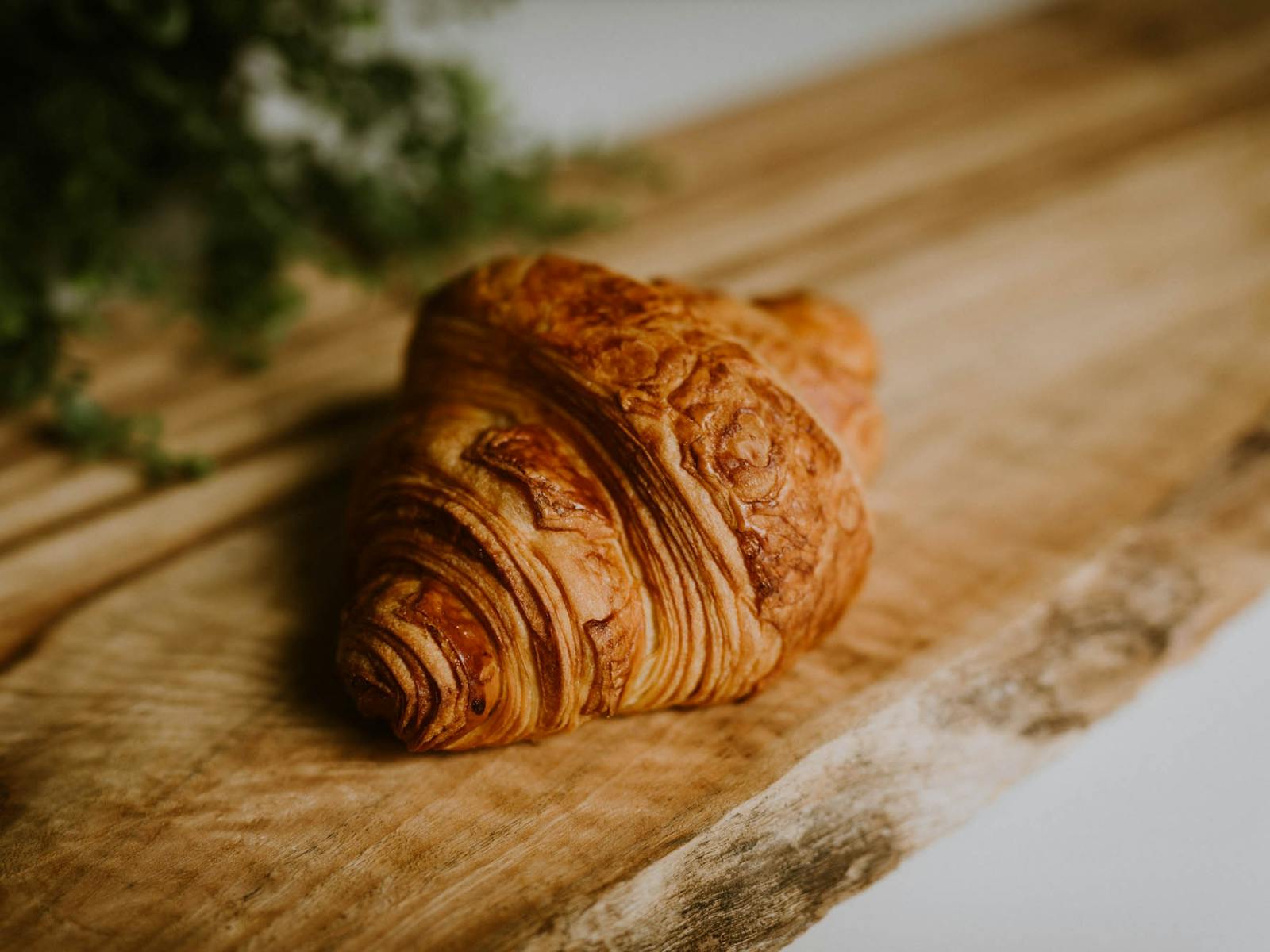 Croissant