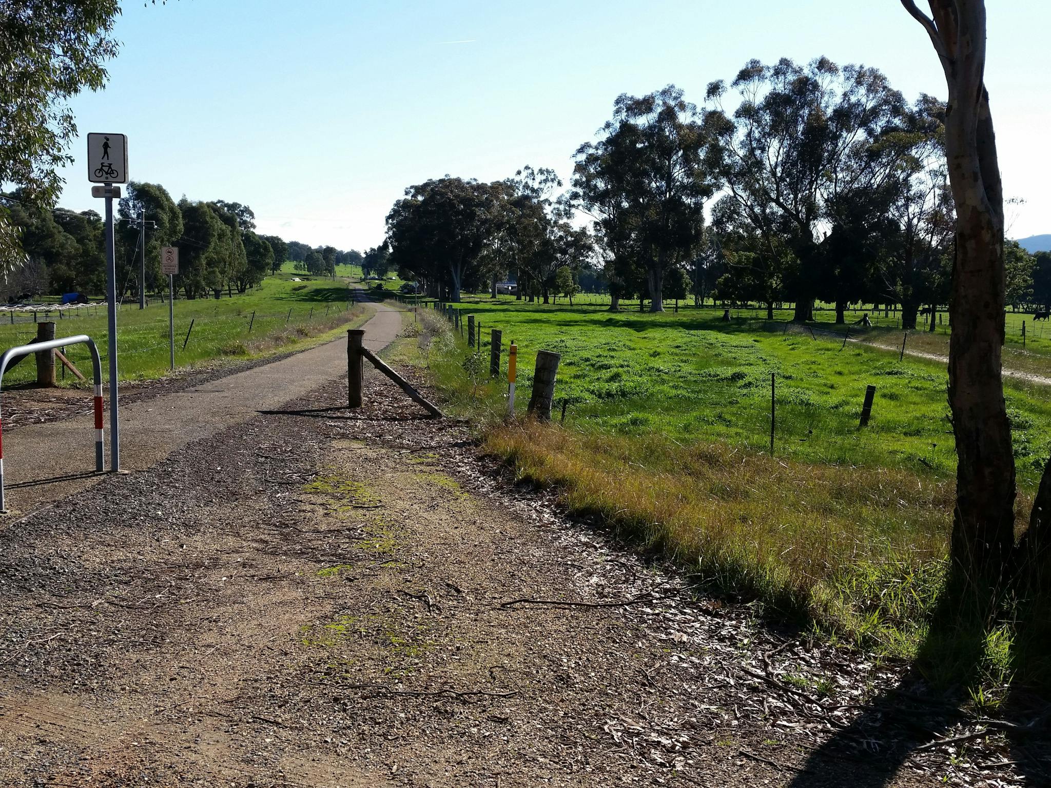 bike trail, paddocks with green grass trees in the background