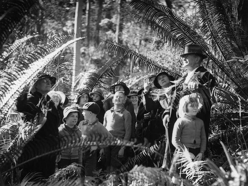 Image for Entwined: plants and people