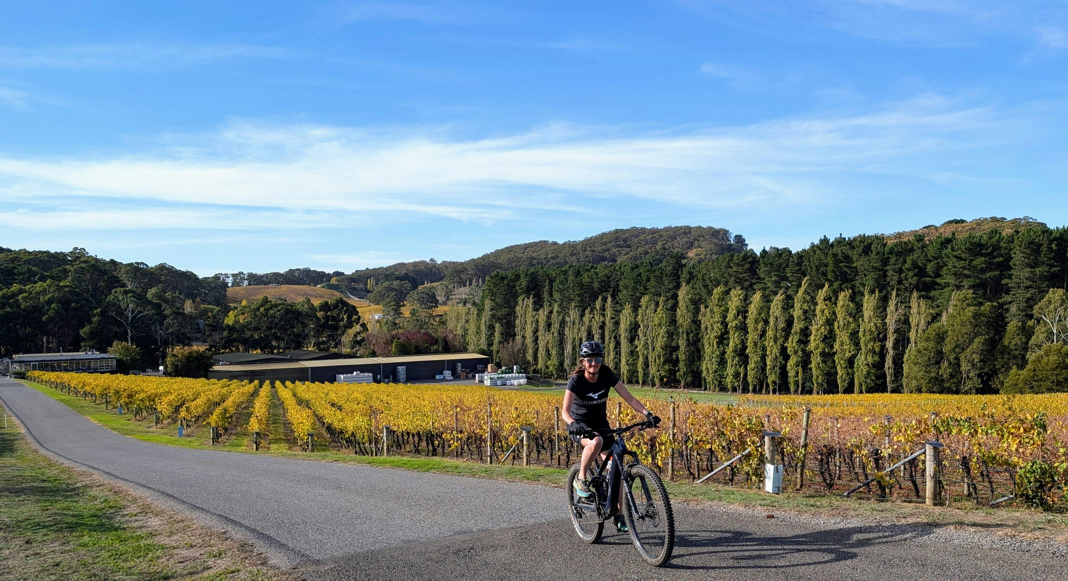 Ride Coast, Wine & Hills – 3 Day E-Bike Journey