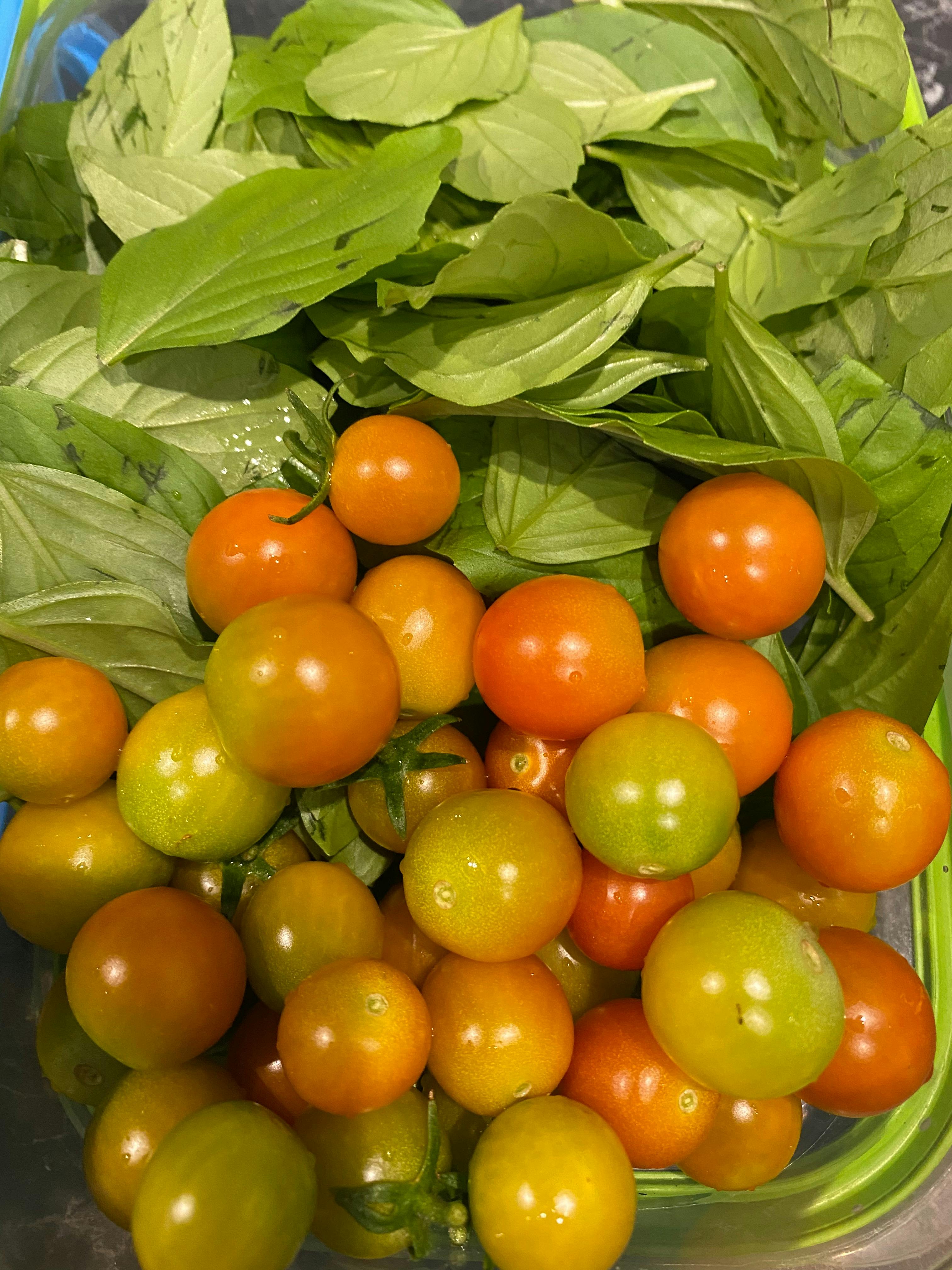 Homegrown Local Produce