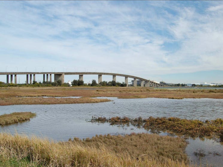 Stockton sandspit