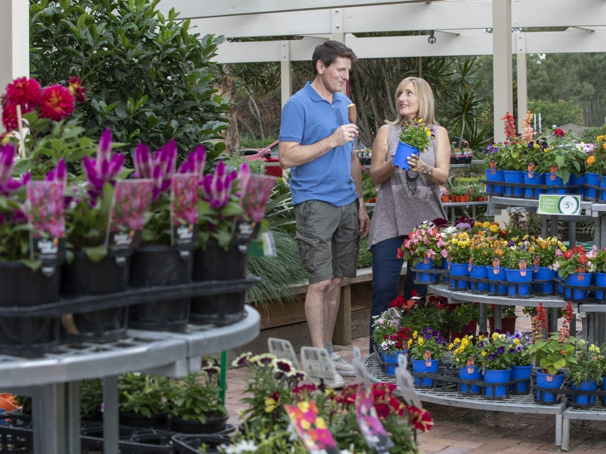Couple surrounded by plants in retail store