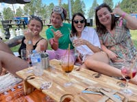 Four happy ladies raising their glasses while sitting on a picnic blanket