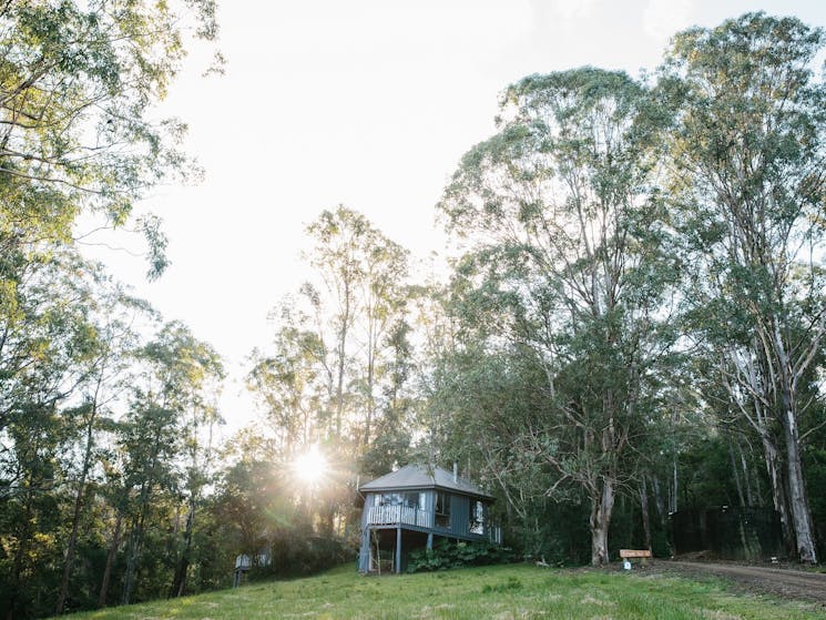 Bluegums Cabins Barrington Tops Dungog Visitnsw Com