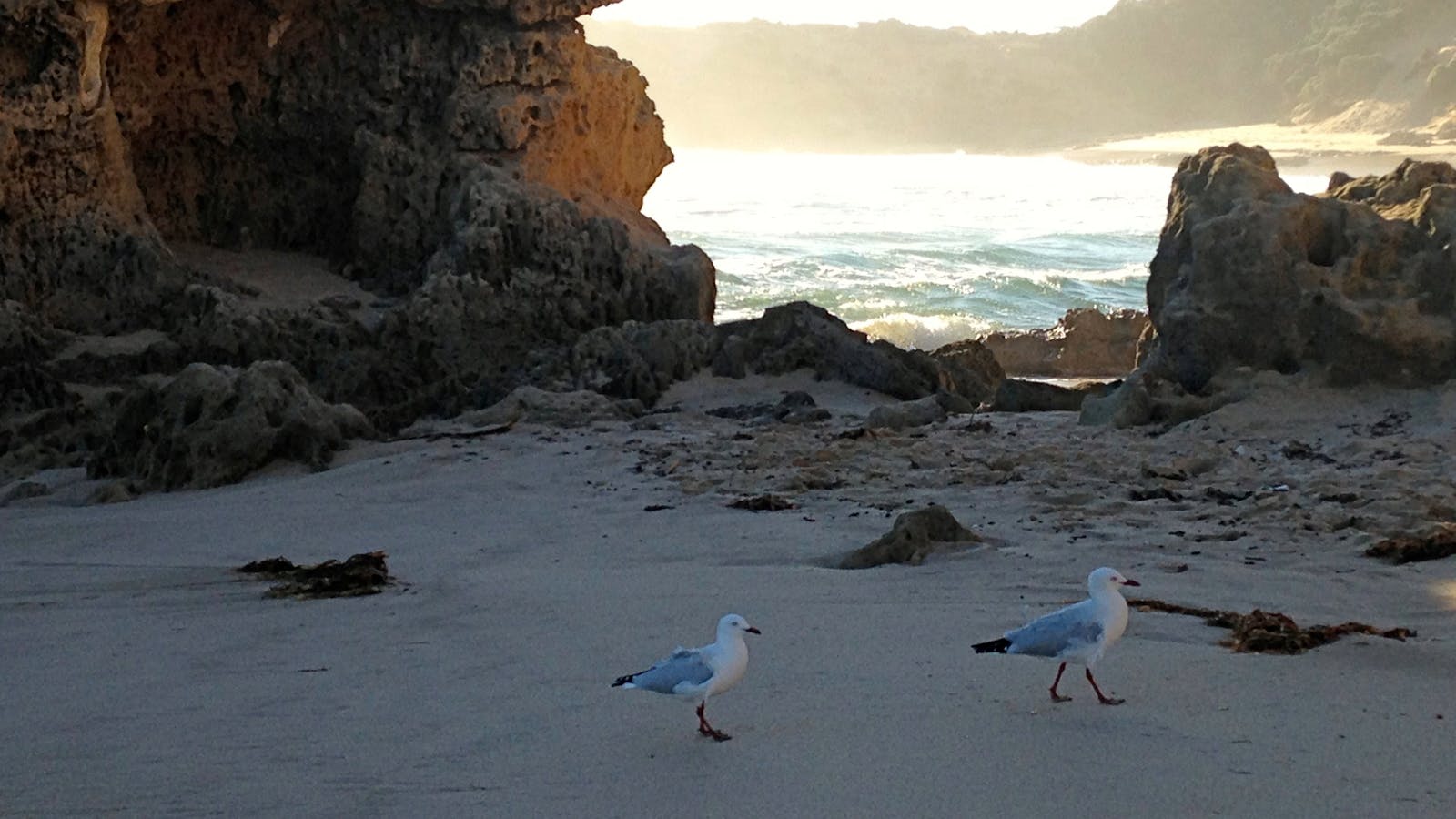 Hidden beach Australia