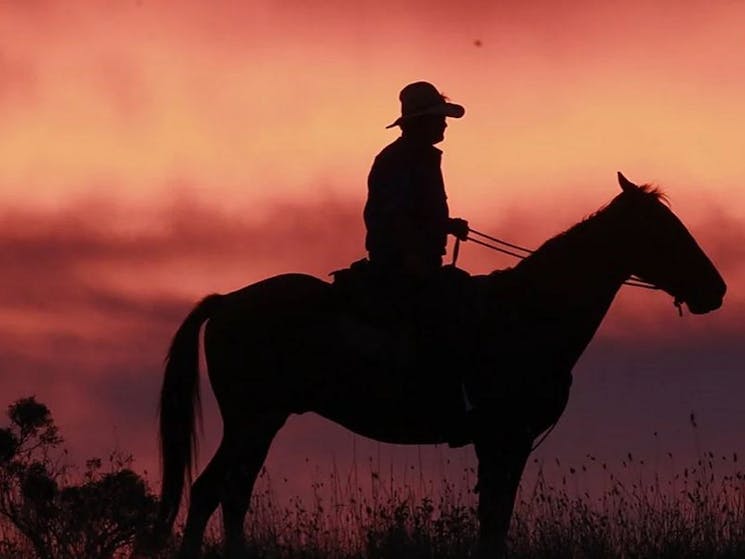 Nev on a sunset ride