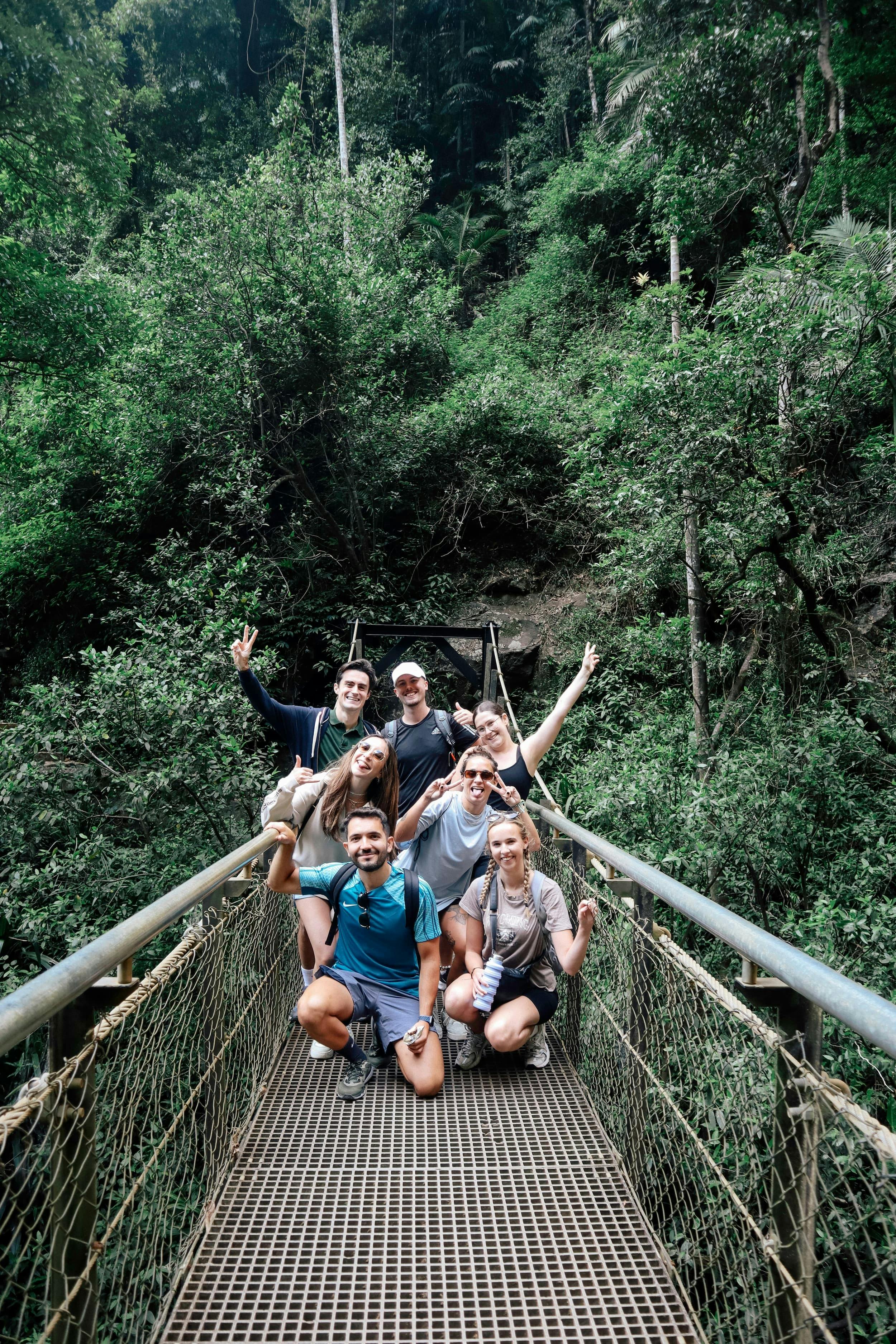 Super 7 Waterfalls and Natural Bridge Tour at Springbrook National Park