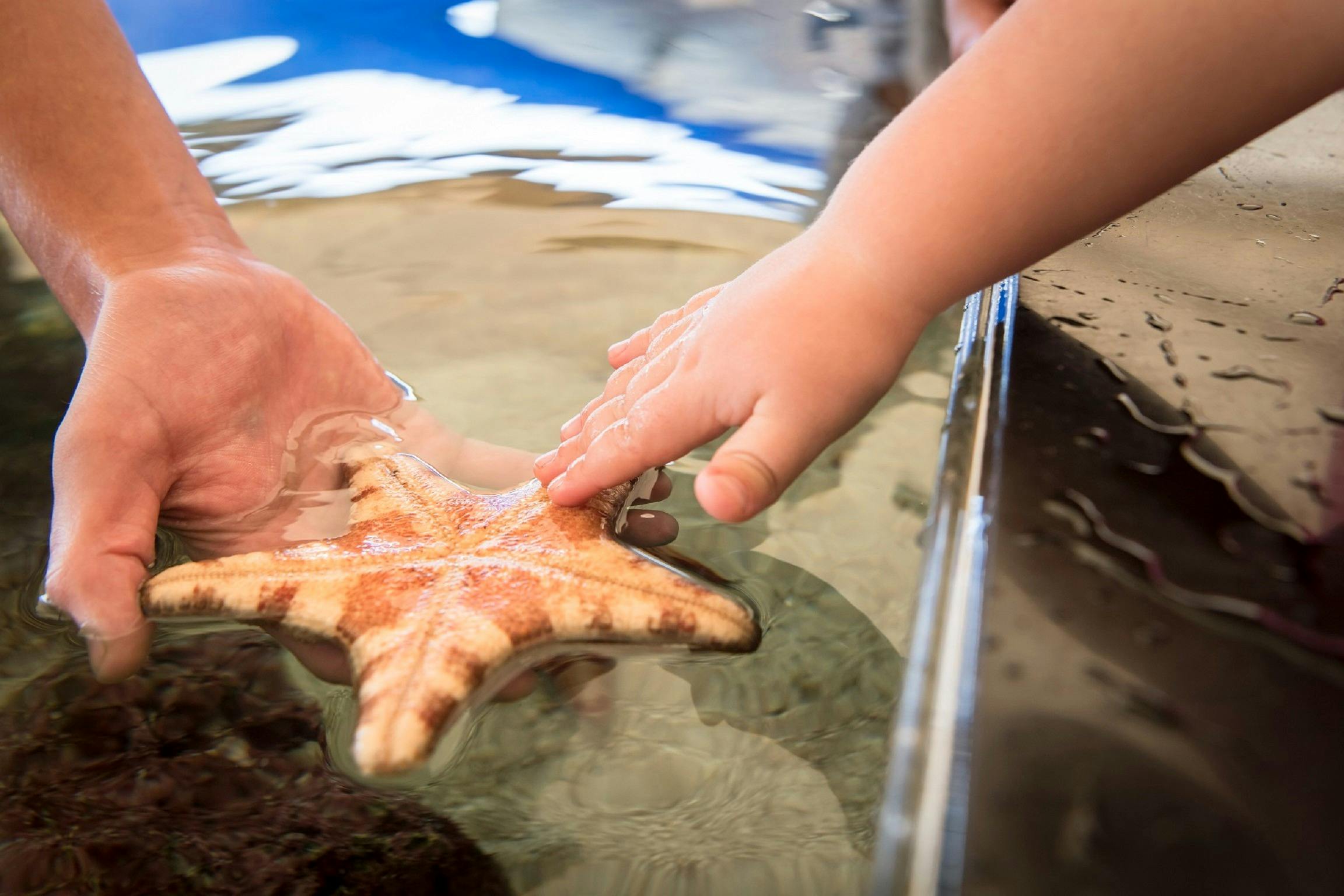 AQWA - The Aquarium of Western Australia