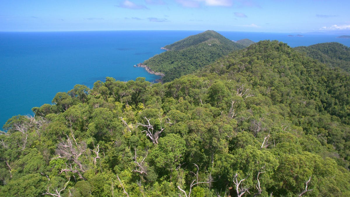 National Park Dunk Island