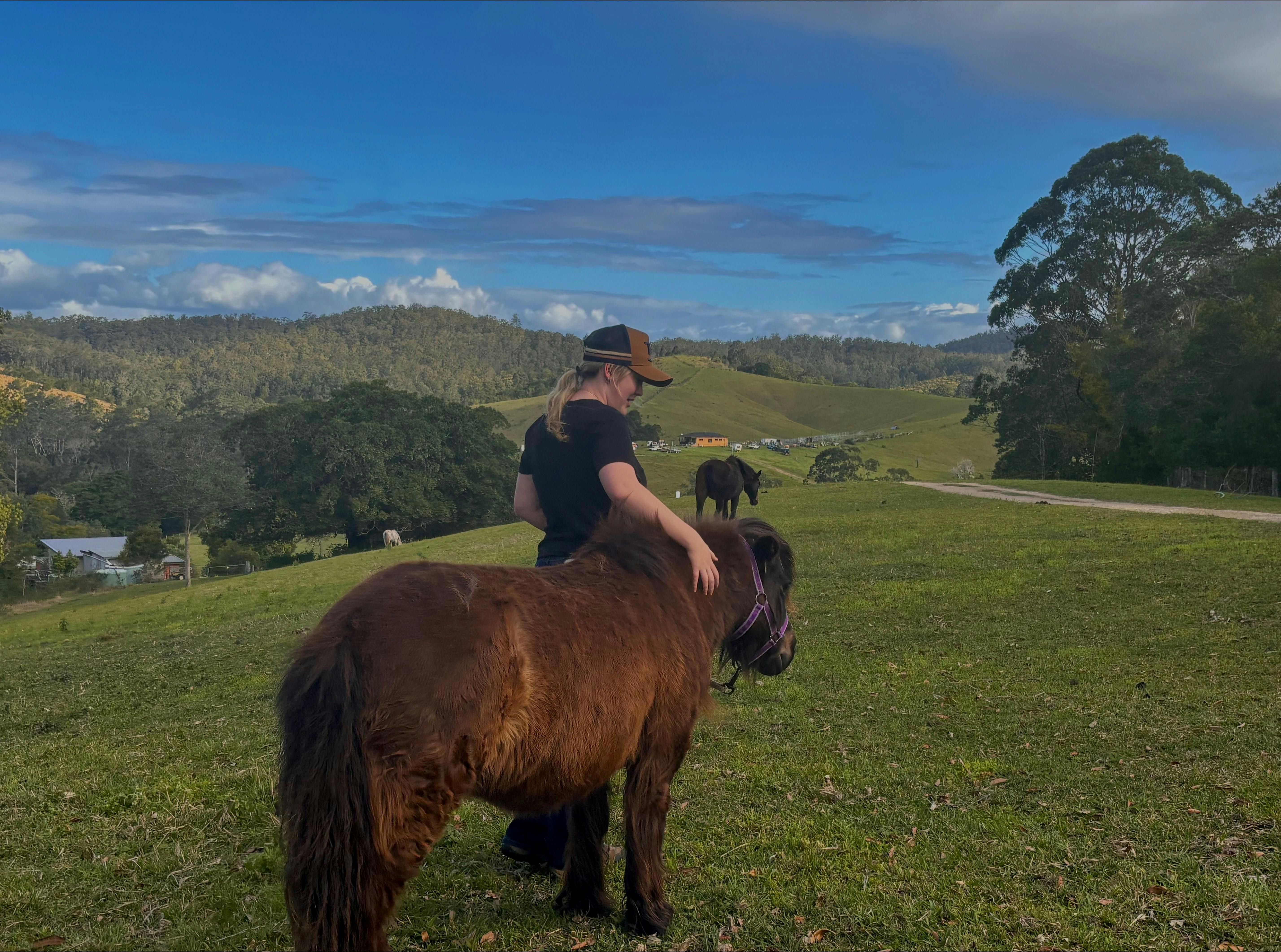 Savannah leading pony