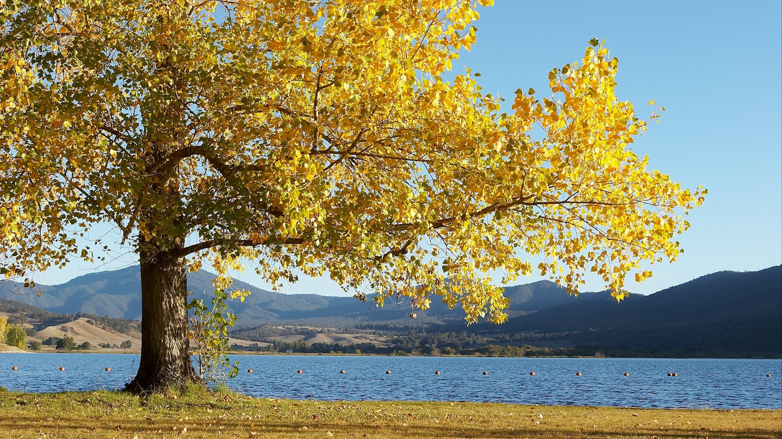 Khancoban Pondage
