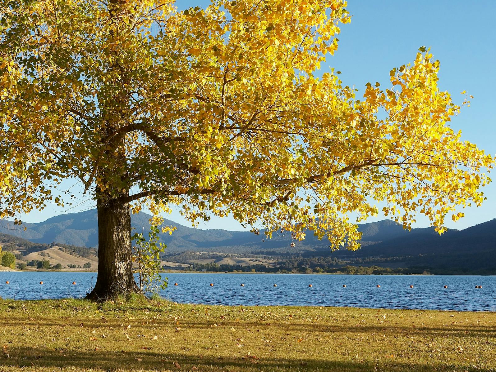 Khancoban-Pondage